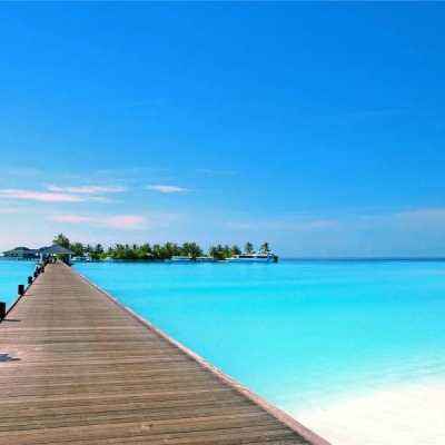 加拿大pc软件平台截图